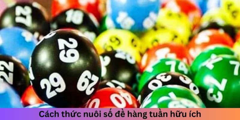 Cách thức nuôi số đề hàng tuần hữu ích