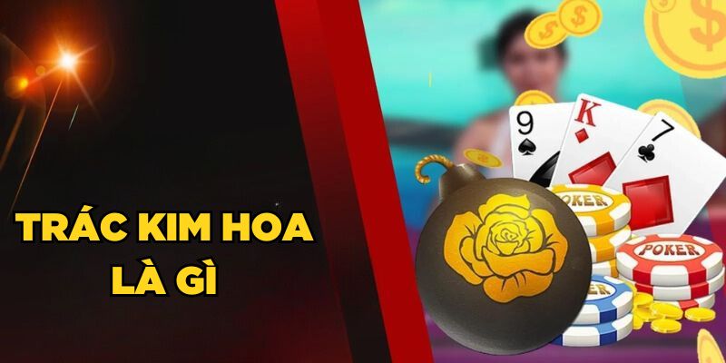 Trác Kim Hoa là gì?